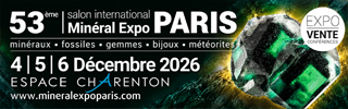 Bourse minéraux à Paris, avec fossiles et gemmes.