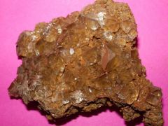 baryte_de_salsignexx.JPG