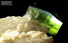 Plus d’informations sur « Tourmaline Var. Elbaïte (région de Gilgit / Pakistan) »