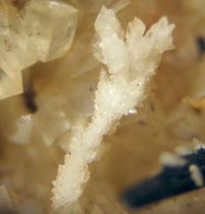 Aragonite