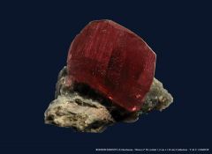 Plus d’informations sur « Rhodochrosite (Uchuchacua - Pérou) »