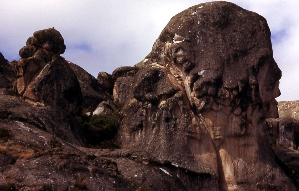 p bosque piedras.jpg