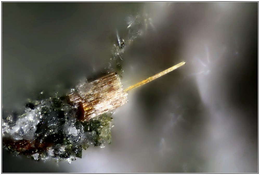 RUTILE   IMG  1 mm  6840 _ 6872  M x 10  __  web.jpg