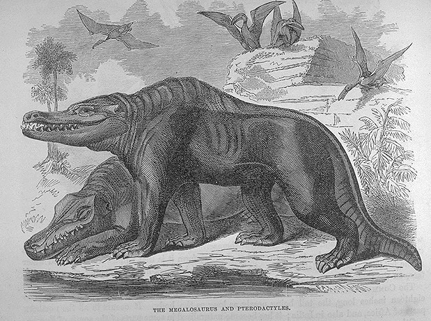 megalosaurus.jpg