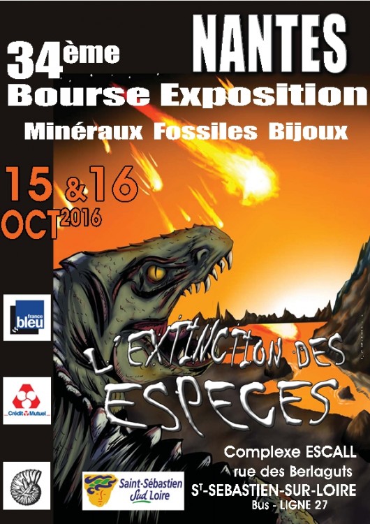 Affiche 34è expo L'extinction des espèces 2.jpg