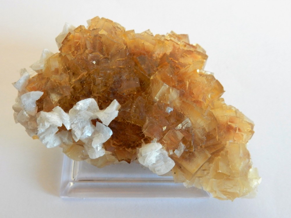 Fluorite sur Dolomite #29 - 2.JPG