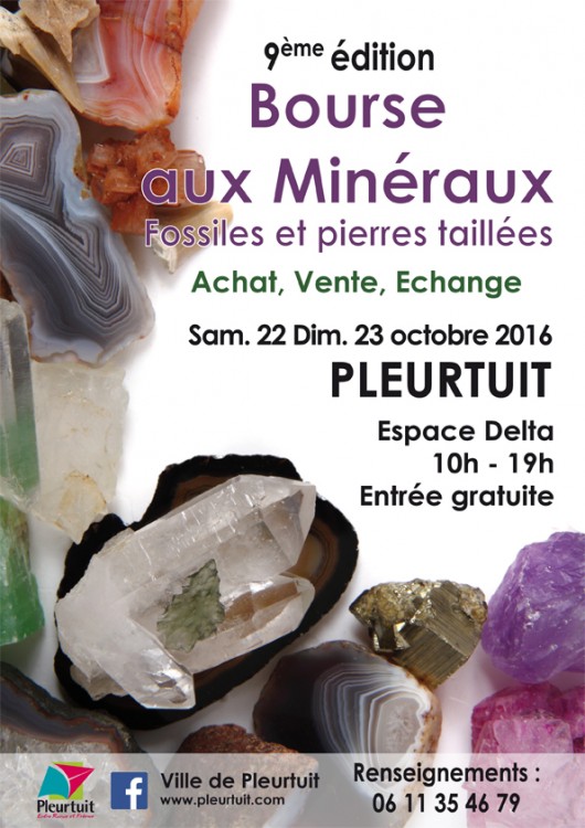 affiche-bourse-aux-mineraux-Pleurtuit-2016-web.jpg