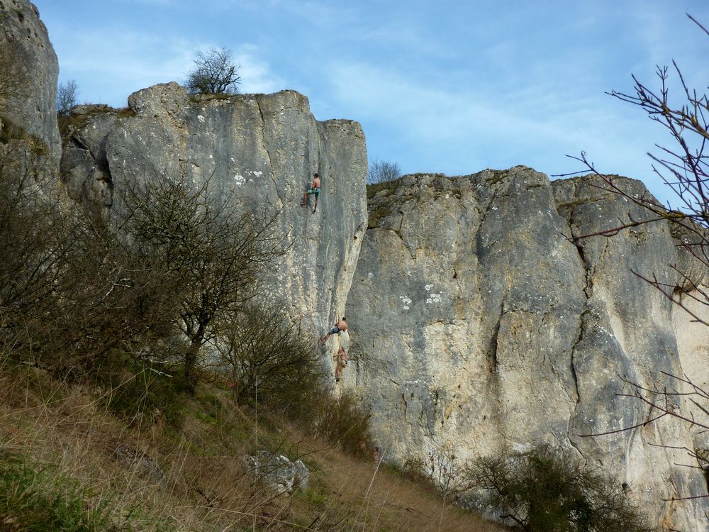 Réserve du bois du parc 31.JPG