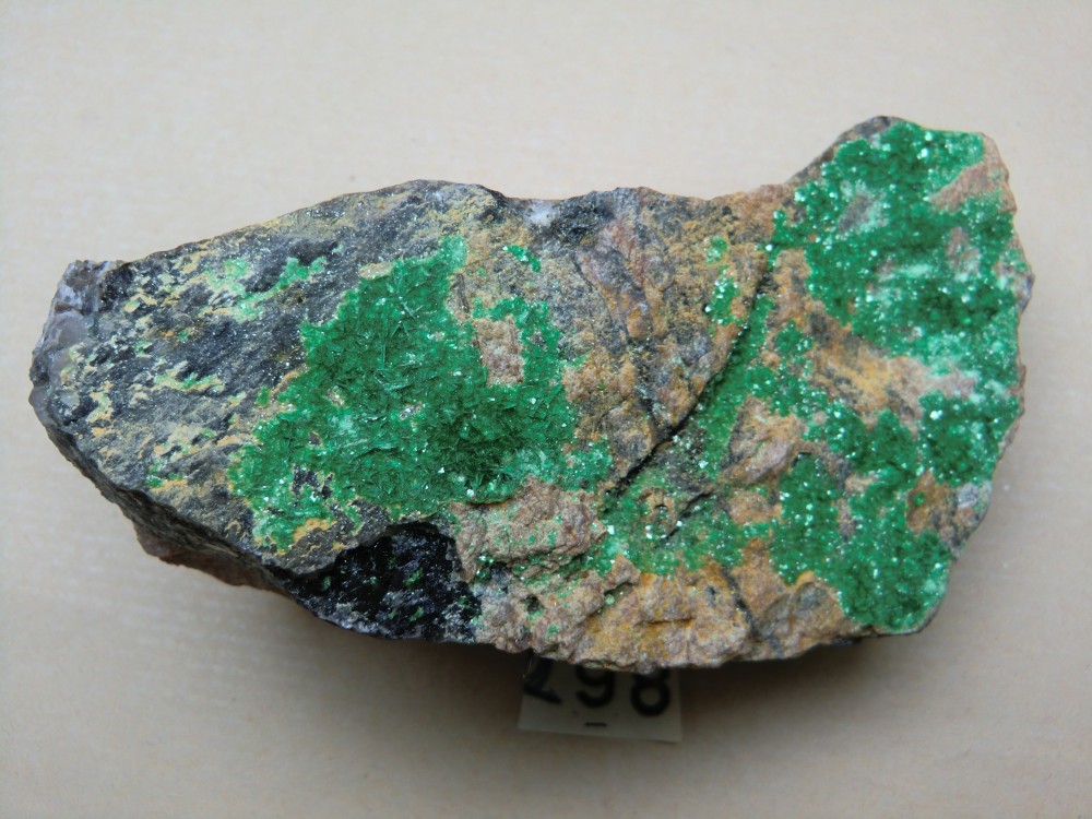 298 - torbernite , Zaire , radioactivité forte.JPG