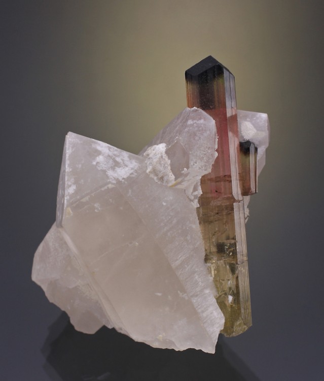 Elbaite-Quartz-Afghanistan.thumb.jpg.b04882ff46dcc58f43ee9941a5243ded.jpg