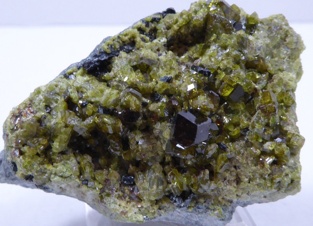 59d5d71412a1a_GRENAT11ANDRADITE(Afghanistan)1CMSC214.thumb.jpg.27dab7d329d98d07390e1f0e17575670.jpg