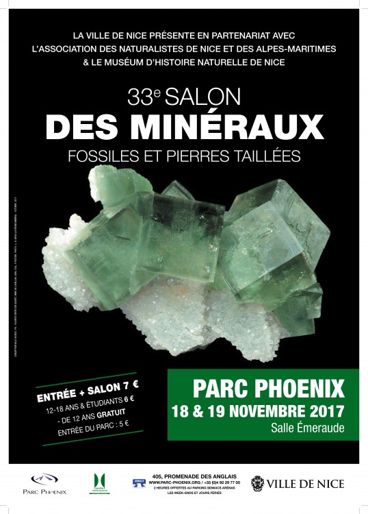 salon de mineraux 2017 Nice-BD.jpg