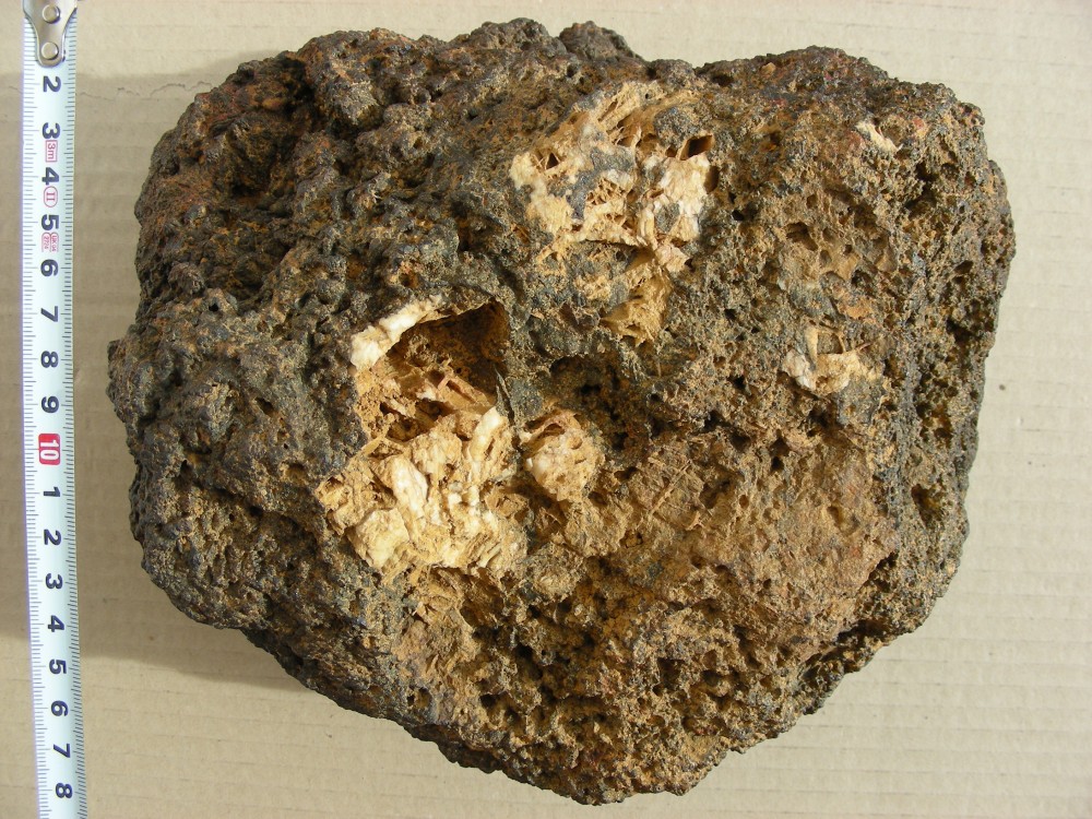 59f7411a3040c_Paleoproterozoic-francevillian-franceville-Gabon-N6.thumb.jpg.f7d9c6afe4dc0c2f6c167316b265692a.jpg