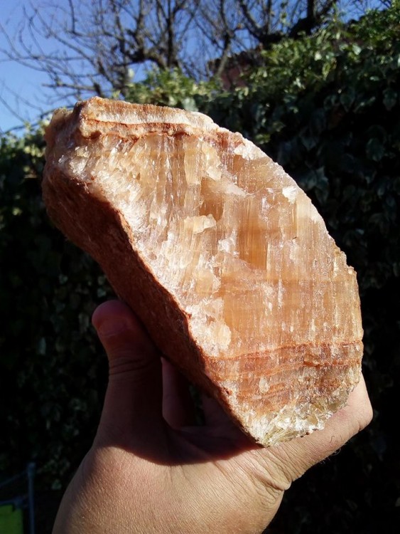 aragonite2.jpg