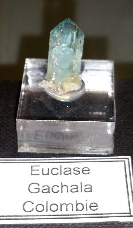 euclase-gachala-colombie.jpg