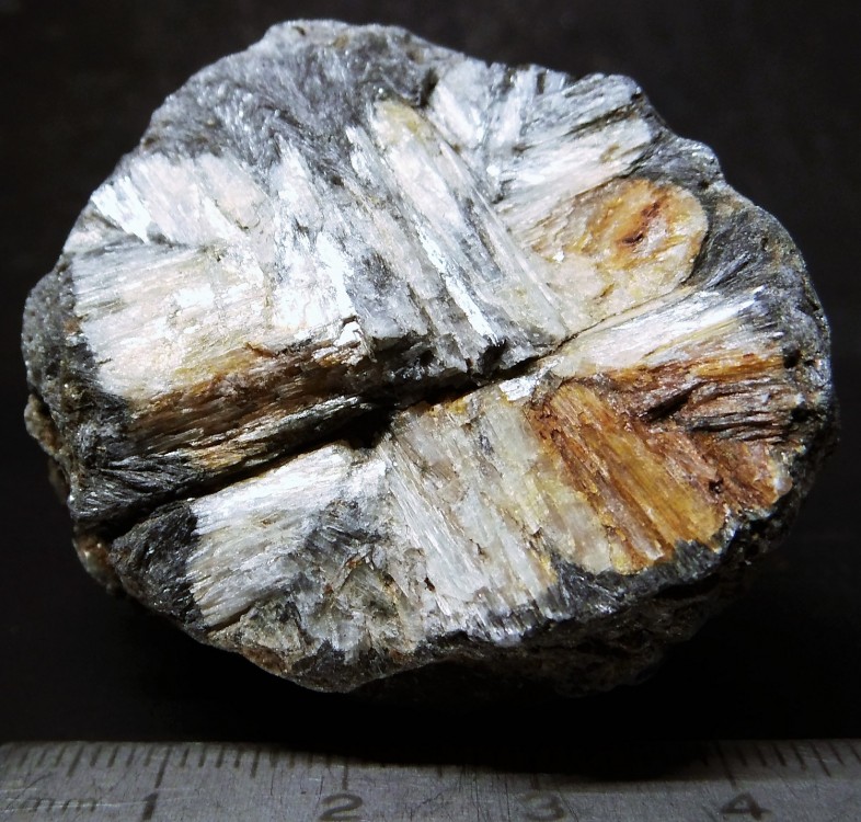 5a2a61c1797c6_(9)243-Chiastolite-BoalAsturiasESPAGNE..thumb.jpg.9e2fcaaf89ce439b4feddb52c554e10c.jpg