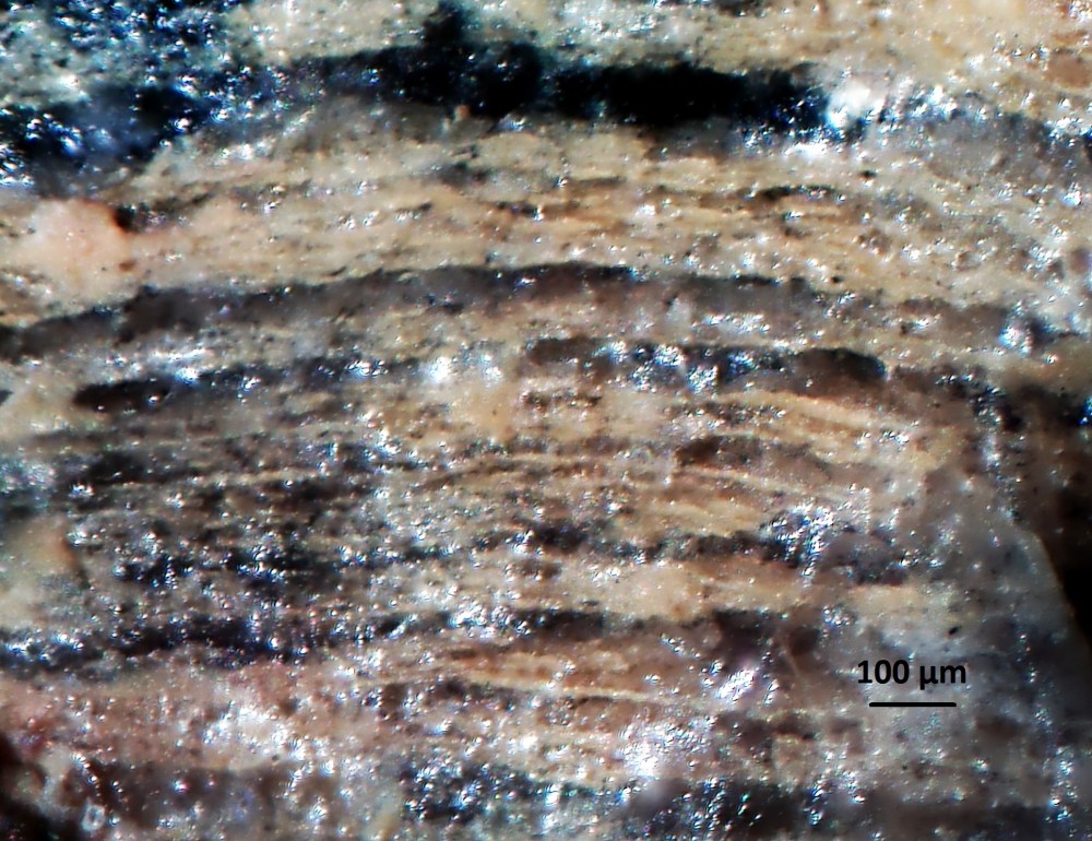 5a9573f1be8be_Hot-spring-deposits-N6-siliceous-sinter-laminae-Franceville-basin-Gabon-11.thumb.jpg.ab688b46fc796a0841afb70fe7177c3d.jpg