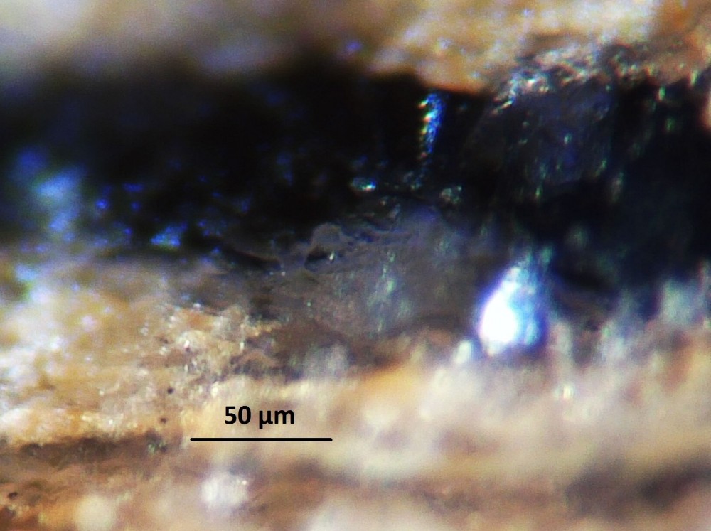 5a9577f42c596_Hot-spring-deposits-N6-siliceous-sinter-laminae-Franceville-basin-Gabon-35.thumb.JPG.c976e2c8bd2a6a623c3565cbb4a5c3af.JPG