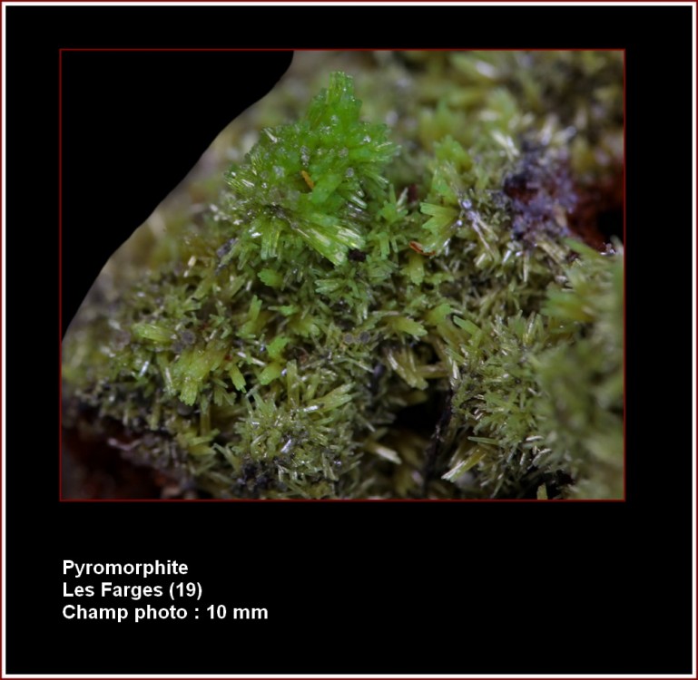 pl_pyromorphite_farges2.jpg