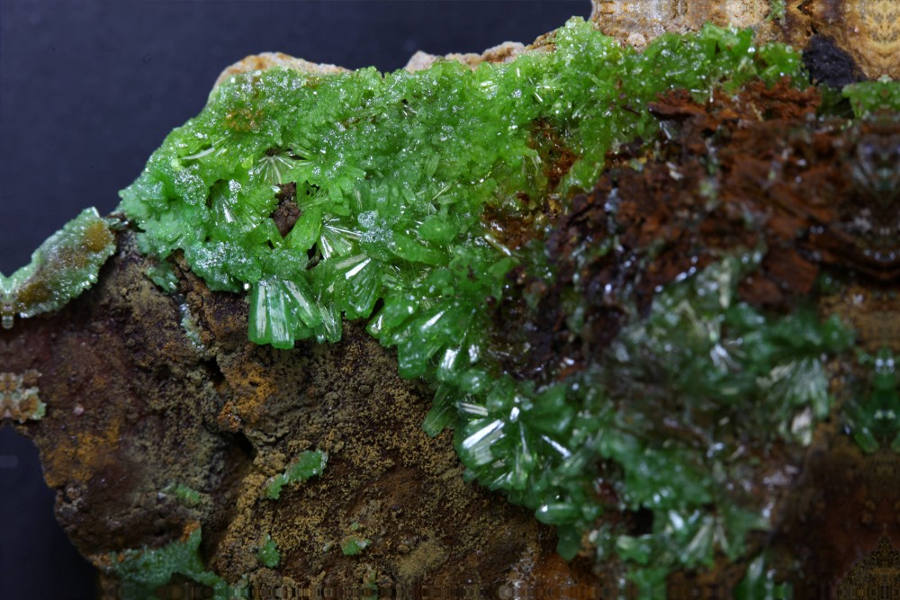 pyromorphite_lesfarges.jpg