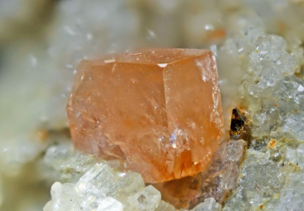 monazite (champ 3mm).jpg