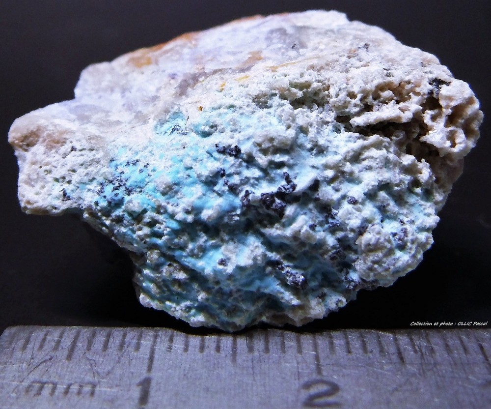 2024214192_Zapublier(9)16-Chrysocolle-Sortiedu19-juillet-2018....thumb.jpg.af4e9e510e94a007acc05fa6e89eb7b9.jpg