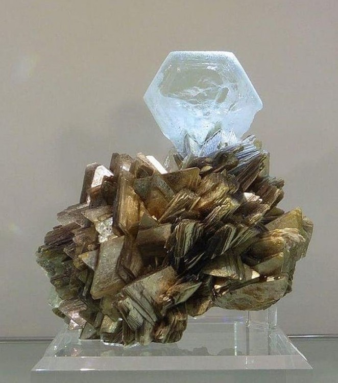 -aigue-marine-muscovite-minas-gerais-bresil.jpg