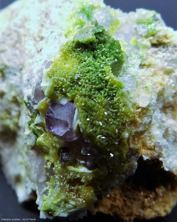 1960350708_g(11)60-FluorineetPyromorphite-10X17mm-Sortiedu26septembre2018lArgentolleSaneetLoireFrance..thumb.jpg.f73986090292740a20c86a5d2f07dbf5.jpg