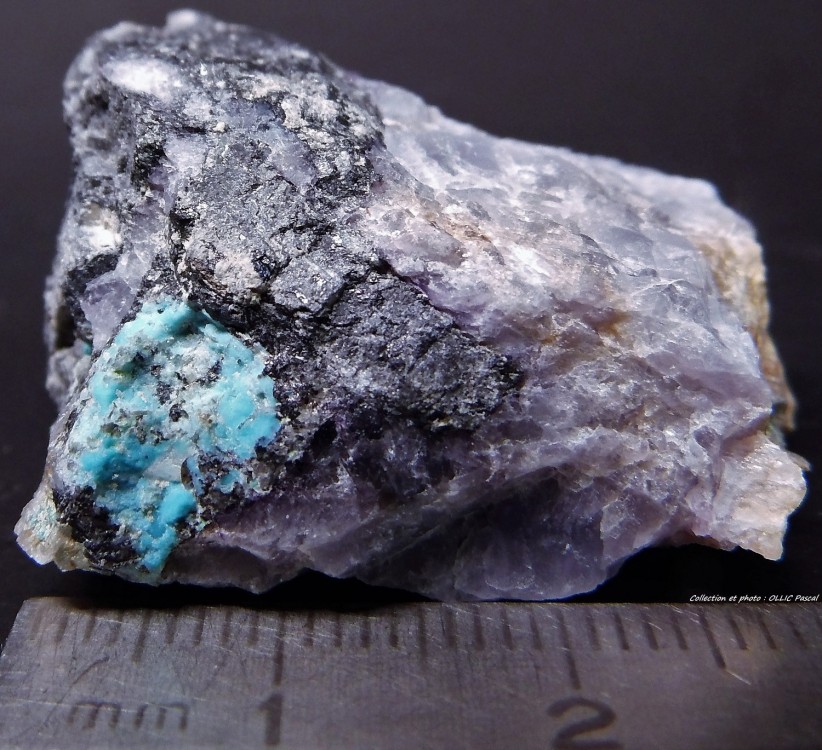 2121792446_(11)61-ChrysocolleGalneetFluorine-Sortiedu23-fevrier-2019lamineduReingeLesMolratsSaneetLoireFrance...thumb.jpg.60b3e9a078090aa1bb5d8eedcfcd60b8.jpg