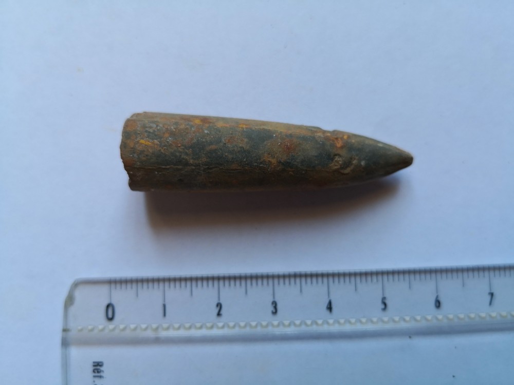 belemnite (1).jpg