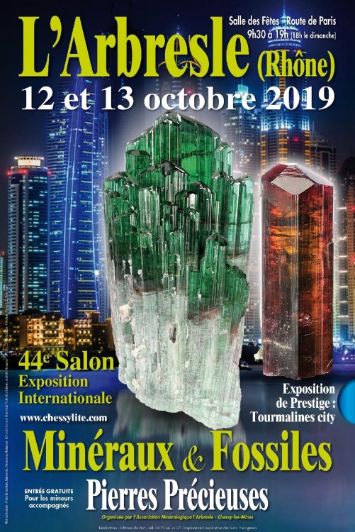 Affiche salon Arbresle 2019.jpg