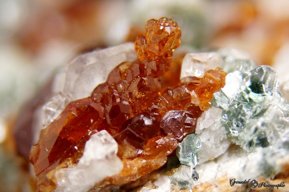 hessonite diopside bellecombe fov9mm.JPG