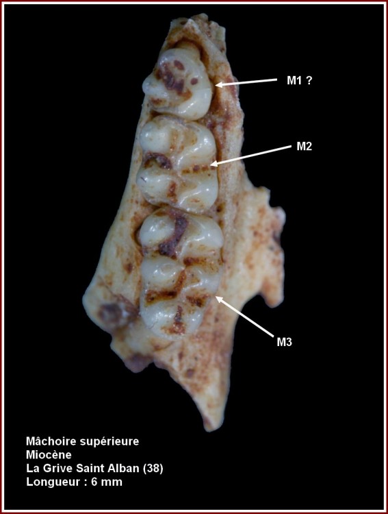 415903machlagrive2.jpg