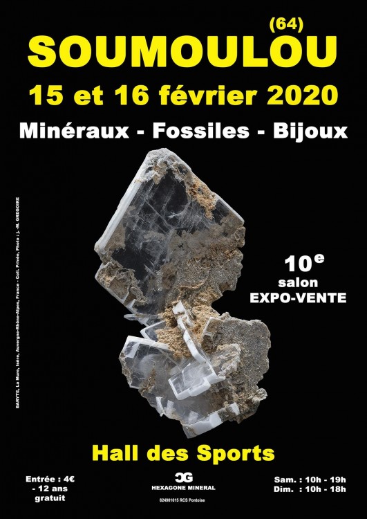 Affiche web (1).jpg