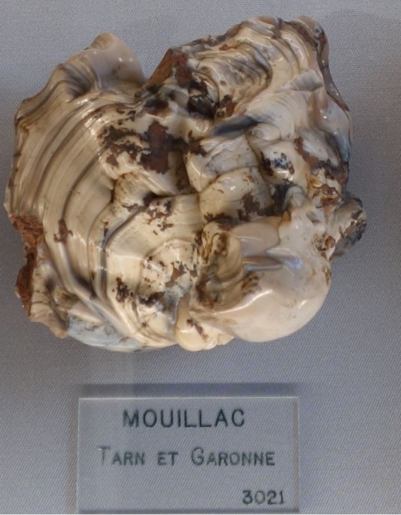 Apatite Mouillac ( 82 ).JPG