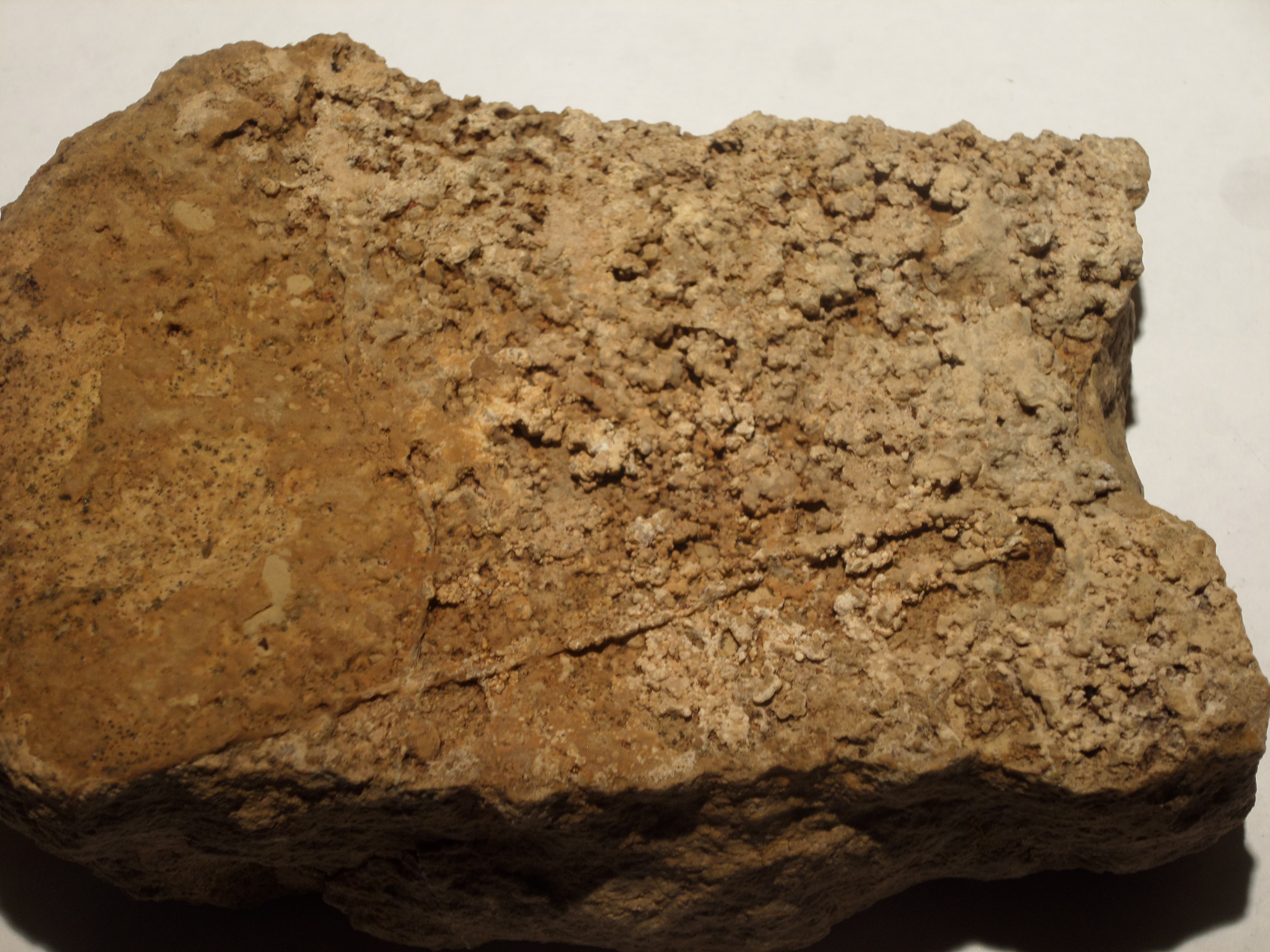 Calcaire sublithographique à débit en dalles : le « Calcaire de