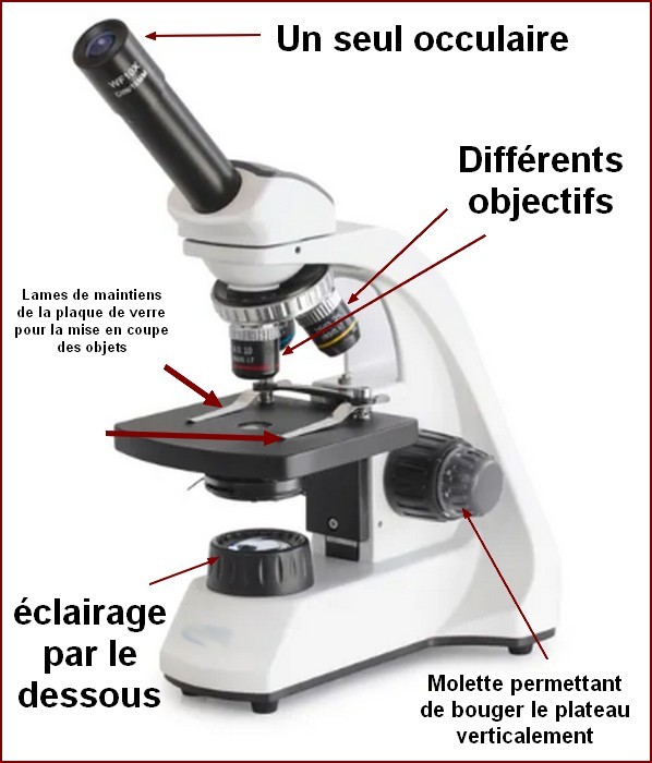 Observation à l'aide d'une loupe binoculaire de deux lasers monolithiques -  FIRST-TF