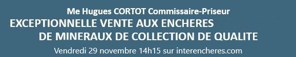 Vente aux enchères de minéraux.